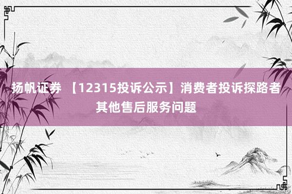 扬帆证券 【12315投诉公示】消费者投诉探路者其他售后服务问题
