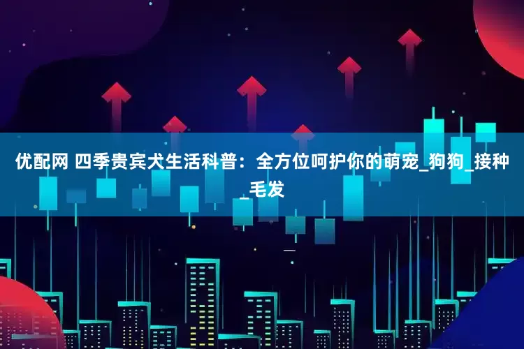 优配网 四季贵宾犬生活科普：全方位呵护你的萌宠_狗狗_接种_毛发