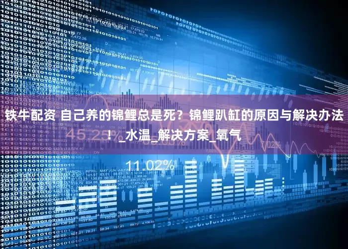 铁牛配资 自己养的锦鲤总是死？锦鲤趴缸的原因与解决办法！_水温_解决方案_氧气