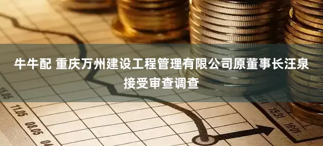 牛牛配 重庆万州建设工程管理有限公司原董事长汪泉接受审查调查