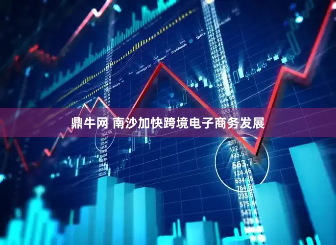 鼎牛网 南沙加快跨境电子商务发展