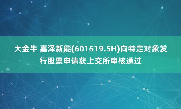 大金牛 嘉泽新能(601619.SH)向特定对象发行股票申请获上交所审核通过